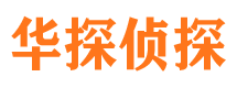 五台调查公司